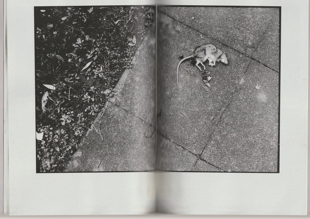 “It's not as bad as long as you can keep the fear from your mind“ Zine