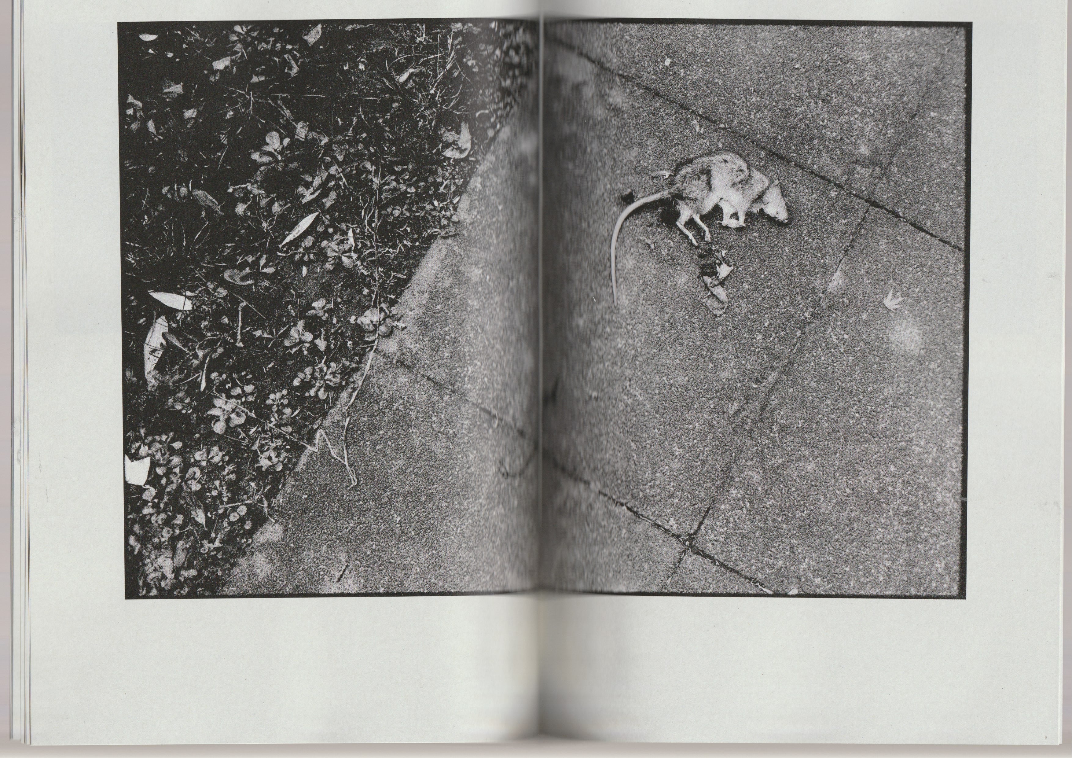 “It's not as bad as long as you can keep the fear from your mind“ Zine